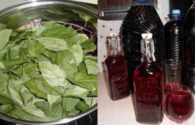 ,,100 ფოთოლი" - პიკანტური ლიქიორის საიდუმლო რეცეპტი