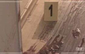 პოლიციის საიდუმლო ფაილები ეკრანზე გავა - კამერებით ასახული შემზარავი ამბები