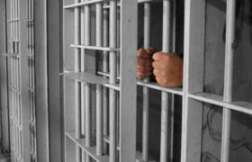 ,,მწერი საწოლებსა და ტანისამოსზე იყო შესეული, სხეულის ქავილისგან სისხლი მდიოდა" - პატიმრობის რაოდენობით საქართველო მეორე ადგილზეა ,,მწერი საწოლებსა და ტანისამოსზე იყო შესეული, სხეულის ქავილისგან სისხლი მდიოდა" - პატიმრობის რაოდენობით საქართველო მეორე ადგილზეა