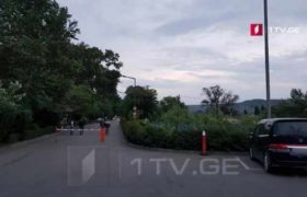 გაუპატიურების მცდელობა რუსთავში - ქალი პარკის დაცვამ გადაარჩინა