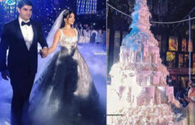 სომეხი ,,კანონიერი ქურდის'' შვილის უმდიდრეს ქორწილში საქართველოს სახელმწიფონომრებიანი მანქანებიც შენიშნეს - ფოტოები