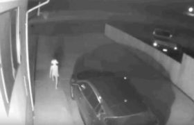 სათვალთვალო კამერამ უცნაური არსება დააფიქსირა - ვიდეო სათვალთვალო კამერამ უცნაური არსება დააფიქსირა - ვიდეო