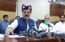 ,,ერთი ემზარ კვიციანი ყველას ჰყავს" - პაკისტანში მთავრობის სხდომაზე ლაივი კატის ფილტრით ჩართეს