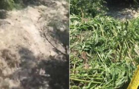 სვანეთში, ადიდებულ მდინარეში ამირან გვიდანს და ვაჟიკო ჟორჟოლიანს ეძებენ