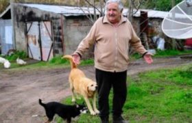 როგორ ცხოვრობს ყველაზე ღარიბი ყოფილი პრეზიდენტი - ,,ყველაფერი მაქვს, რაც მინდა"