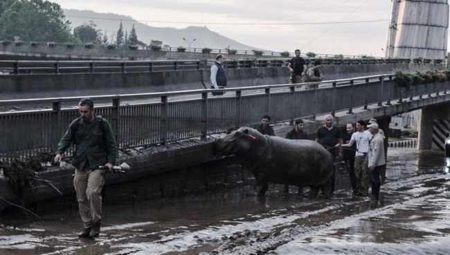 ,,დააკავეს თბილისის წყალდიდობის გმირი, რომელმაც ბეგი გადაარჩინა" - მკვლევარი 20-21 ივნისის აქციის საქმეზე დააკავეს