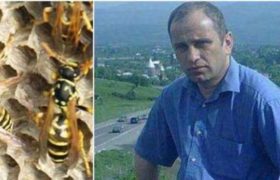 ზესტაფონში პანიკაა - ,,წუთებში გარდაიცვალა ცოლის და მთელი სოფლის თვალწინ"