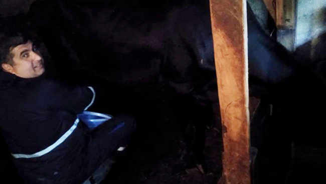 ,,ოცნება ბიძინას წველის, ოპოზიცია - სააკაშვილს, მე - ჩემს ძროხას" - დავით მამალაძე