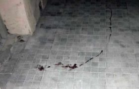 გურამიშვილზე, მკვლელობის ადგილზე აღმოჩენილ სისხლთან დაკავშირებით შსს განმარტებას აკეთებს