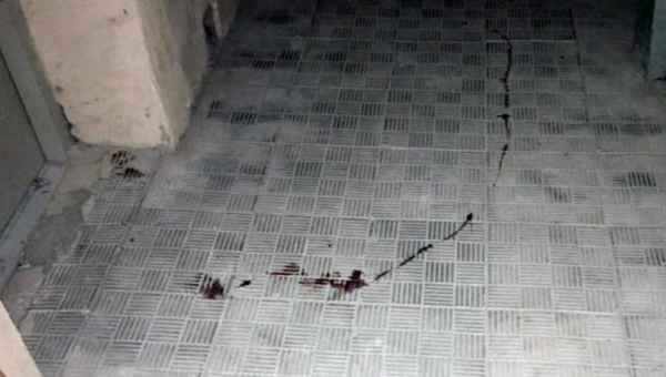 გურამიშვილზე, მკვლელობის ადგილზე აღმოჩენილ სისხლთან დაკავშირებით შსს განმარტებას აკეთებს