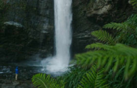 ლაგოდეხის ჩანჩქერზე გერმანელი ტურსიტი დაიღუპა