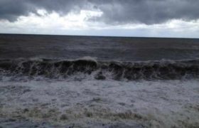 მამაკაცი ძაღლის გადარჩენას ცდილობდა და ზღვაში დაიხრჩო