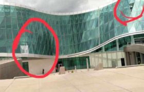 ,,შსს დასკოჩეს! ამათ სიშტერეზე კელდებსაც გული მისდით" - ფოტოები ,,შსს დასკოჩეს! ამათ სიშტერეზე კელდებსაც გული მისდით" - ფოტოები