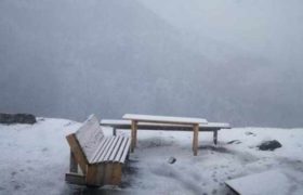 გუდაურში თოვს - ვიდეო გუდაურში თოვს - ვიდეო