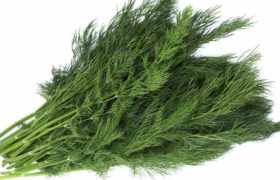 კამა ყოველდღე გამოიყენეთ კამა ყოველდღე გამოიყენეთ