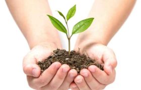 აგრო სესხი აგრო სესხი