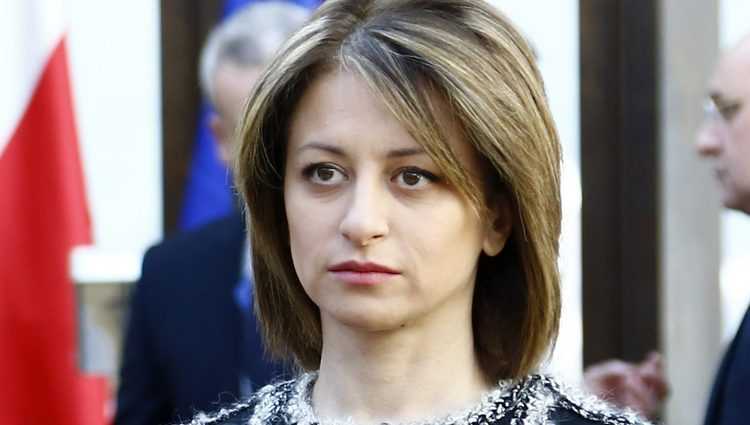 ეკა ტიკარაძე: ,,მხოლოდ 853 პაციენტის მოვლა შეგვიძლია, რადგან 256 ინფექციონისტი გვყავს""