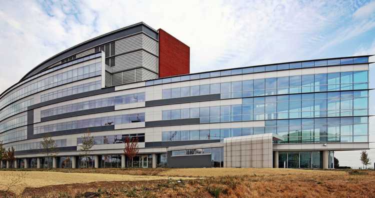 მზის სხივები კორონავირუსს ანადგურებს - ახალი კვლევა