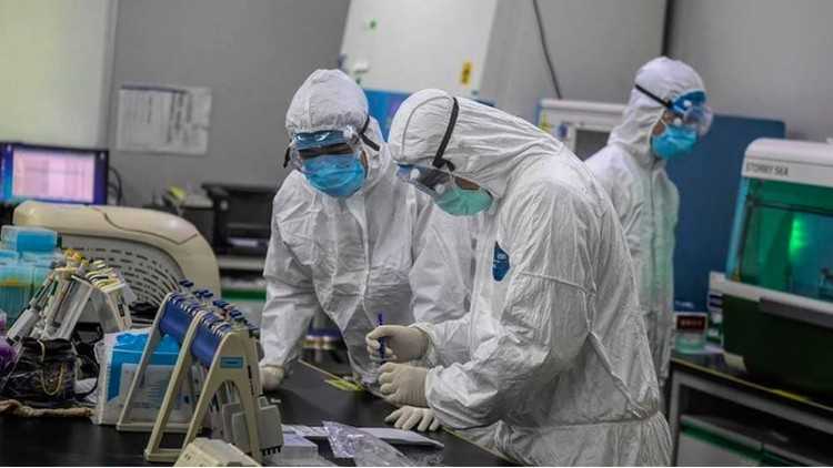 ისრაელმა კორონავირუსის სამკურნალო პრეპარატი შექმნა - ერთი პაციენტის პლაცენტას 20 ათასზე მეტი დაავადებულის განკურნება შეუძლია