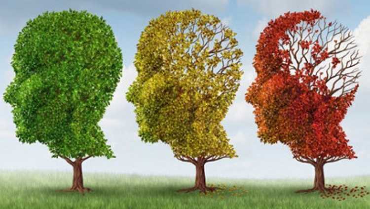 რა გავლენას ახდენს ჩვენი აზრები ჯანმრთელობაზე