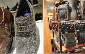 მაღაზიებში ჩანთები და ფეხსაცმელები დაობდა მაღაზიებში ჩანთები და ფეხსაცმელები დაობდა