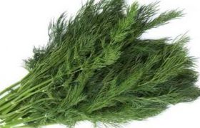 სასარგებლო კამა