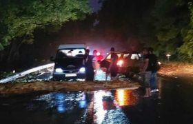 სტიქია კახეთში - წაქცეული ხეები და გადახდილი სახურავები