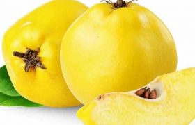 კომში თმის ძირების გასამაგრებლად, სახის კანისთვის, ასთმისთვის, დიაბეტისთვის - როგორ დავამზადოთ ნაყენი