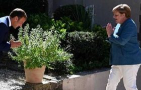 კარანტინი აღარ იქნება - ევროპამ გადაწყვიტა, შვედეთს მიბაძოს კარანტინი აღარ იქნება - ევროპამ გადაწყვიტა, შვედეთს მიბაძოს