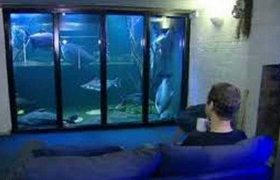 ცხოვრების აკვარიუმში წყალი გამოცვალეთ