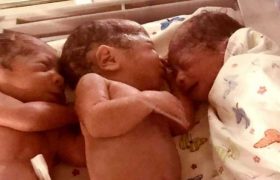 "19 წელი ველოდით შვილს და 3 ტყუპი გაგვიჩნდა" - ლოლა აბაშიძემ და მინდია კოჩალიძემ დიდი ოცნება აისრულეს