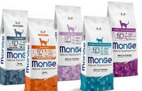 კატების კვების თავისებურებანი