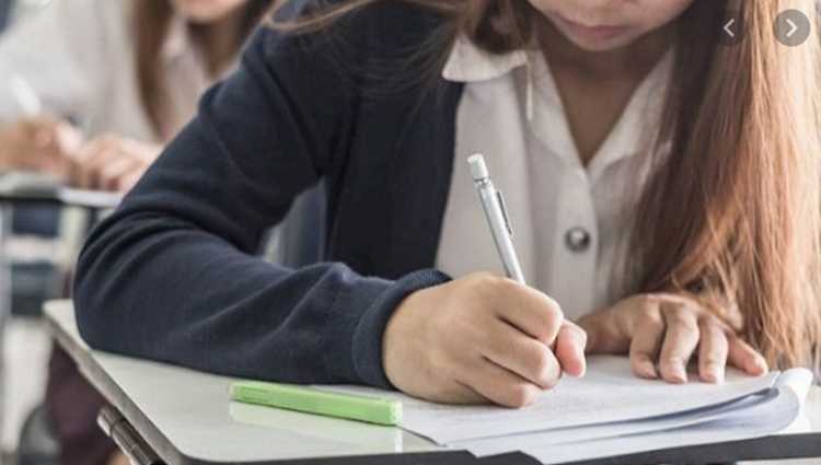 "მასწავლებელი იმის გამო მლანძღავს, რომ მის დასთან არ მოვემზადე"