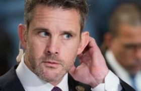 ადამ კიზინგერი: ,,ეს შემაშფოთებული ნაბიჯია, ჩვენ თვალს ვადევნებთ"