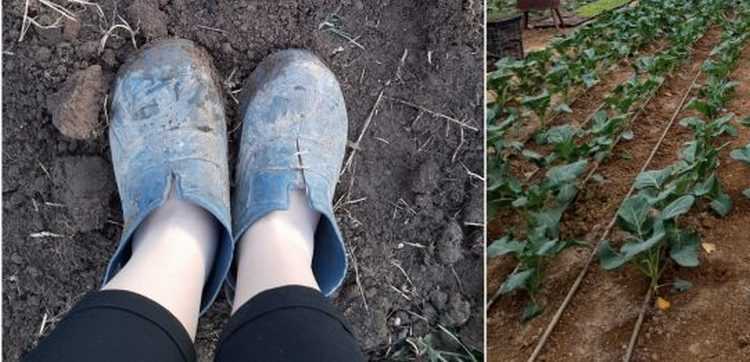 ,,სოფელში ცხოვრებამ სხვა ქალად მაქცია, ჩემი ოცნებები ჩაკლა" ,,სოფელში ცხოვრებამ სხვა ქალად მაქცია, ჩემი ოცნებები ჩაკლა"