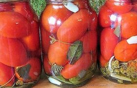 ,,სამ დღეში მზადაა" - პომიდვრის მწნილის რეცეპტი მანანა მაისურაძისგან