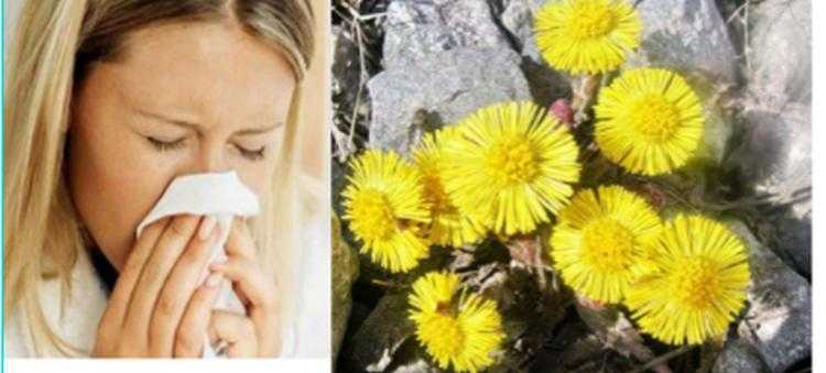 ვირისტერფა - ცხვირი თავისუფლად რომ სუნთქავდეს