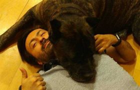 გიორგი ჩალაძე: ,,მაშინ გადავარჩინეთ, დღეს _ ვეღარ''