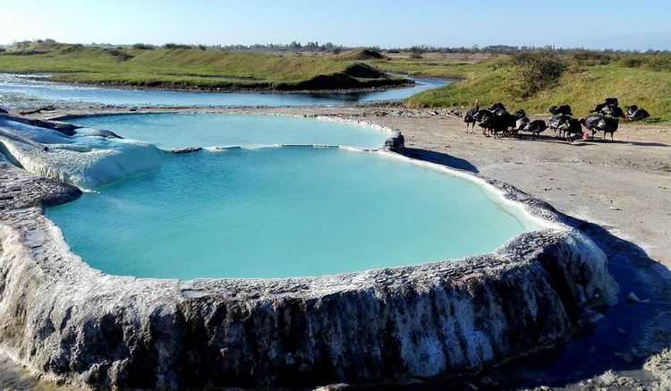 დიხაშხო - ბუნების სასწაული სამკურნალო გოგირდოვანი წყლებით