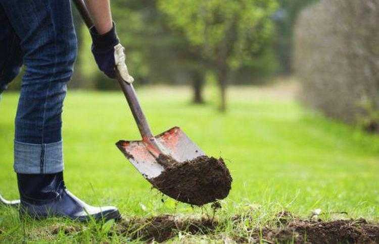 ,,ქალი საბარგულში" - მაია ბურჭულაძე, ქართული დეტექტივი (გაგრძელება)