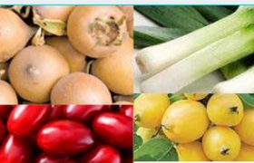 მწნილი ზღმარტლის, სამოთხის ვაშლის, პრასის, სტაფილოსი, ბლის... მწნილი ზღმარტლის, სამოთხის ვაშლის, პრასის, სტაფილოსი, ბლის...