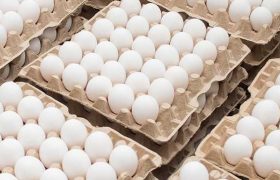 ,,იძულებული ვართ, კვერცხის ფასი გავზარდოთ'' - ზურაბ ჭუჭულაშვილი ,,იძულებული ვართ, კვერცხის ფასი გავზარდოთ'' - ზურაბ ჭუჭულაშვილი