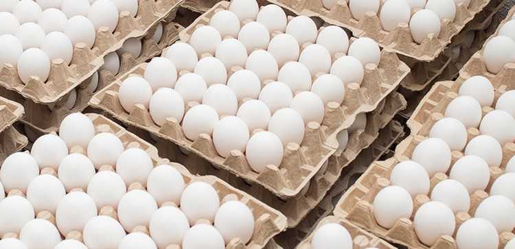 ,,იძულებული ვართ, კვერცხის ფასი გავზარდოთ'' - ზურაბ ჭუჭულაშვილი