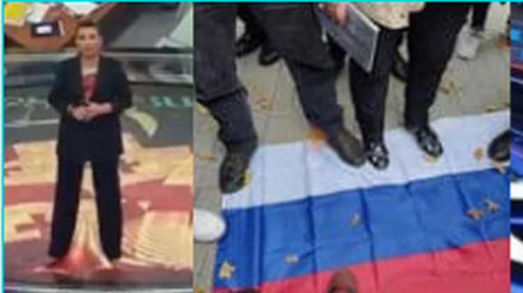 დავით ბერძენიშვილი ,,რუსული დროშა ნავალნის, მურატოვის და უამრავი მებრძოლი ადამიანისაც არის"