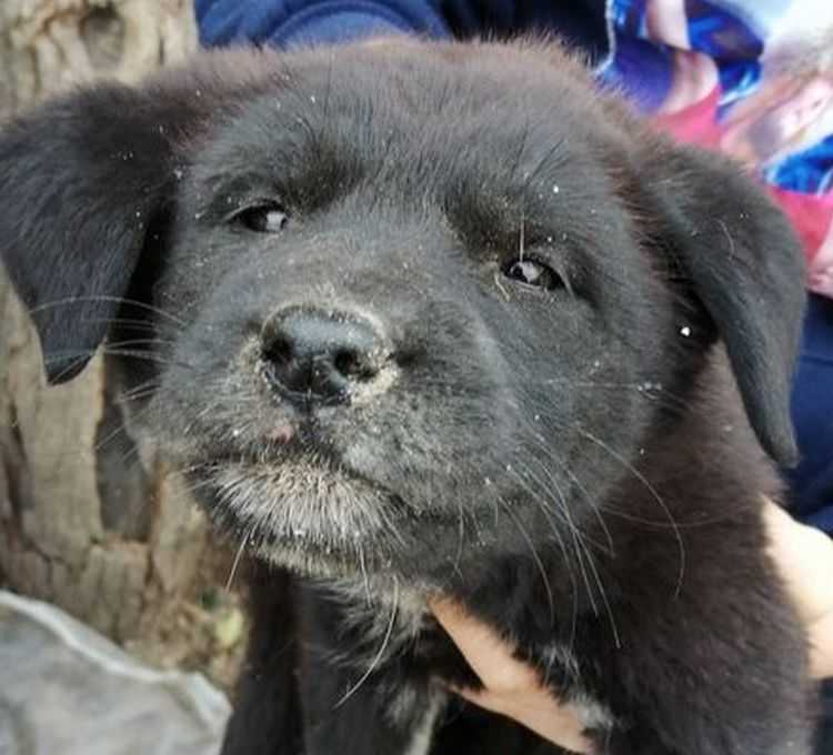 ,,ჩემი პატარა ძმა სცემეს იმის გამო, რომ 5 წუთით შევიყვანეთ შიგნით, მიშველეთ, მეგობრებო" - პატარა გოგონას წერილი