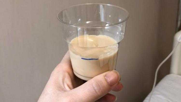 ელენე ხოშტარია: "აი, ისიც, პირველი ჭამა... ამერიკიდან ჩამოსული მეგობრის გემო აქვს"