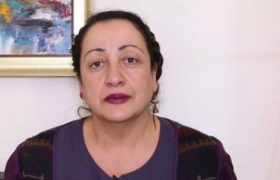 ,,მე მყავს სუიციდისტი შვილი, პირადად მე მყავს რამდენჯერმე თოკიდან ჩამოხსნილი, ვენებგადაჭრილი _ გადარჩენილი" - ვის მიმართავს ანა მიქაძე