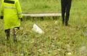 შეშლილი თეოლოგის განსაწმენდელი - კრიმინალური ნოველა