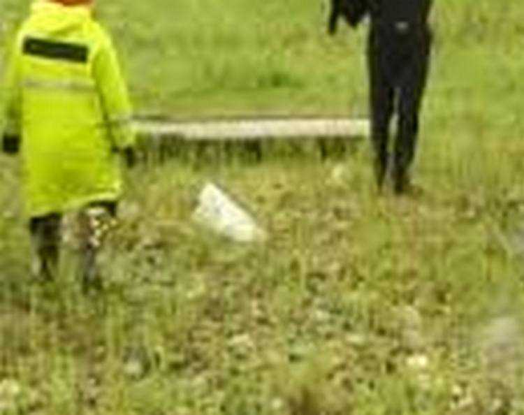 შეშლილი თეოლოგის განსაწმენდელი - კრიმინალური ნოველა