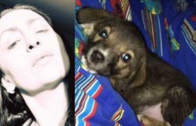 ნაგავსაყრელზე ნაპოვნი ლეკვი მალე შვედეთში იცხოვრებს